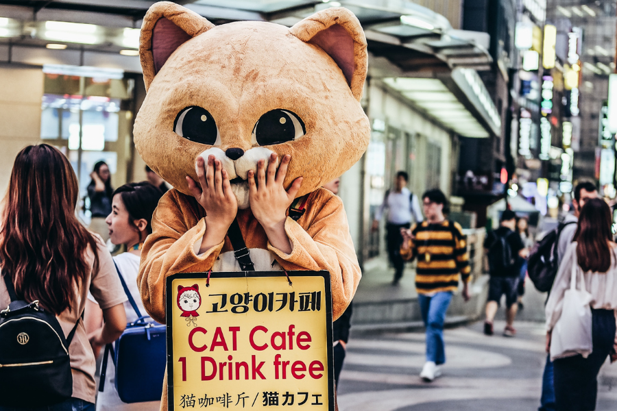 5 Fakten über Korea die du bestimmt noch nicht kanntest